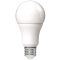 Avide LED Globe A60 13W E27 CW 6400K (ABG27CW-13W-AP)
