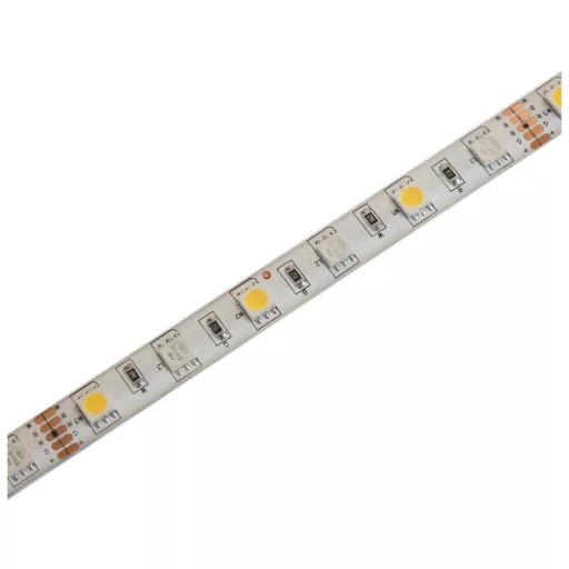 Avide LED Szalag 12V 12W RGB+W(4000K) IP65 10m (ABLS12V5050-60RGBW65-10M)