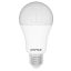 Entac LED Globe E27 15W NW 4000K (LLG27-15W-NW)