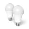 Entac LED Globe E27 18W NW 4000K Duo Pack (LLG27-18W-NW-2P)