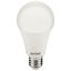 Entac LED Globe E27 8W WW 3000K (LLG27-8W-WW)