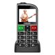  Evolveo EasyPhone FL Dual-Sim mobiltelefon ezüst (SGM EP-801-FLS) 