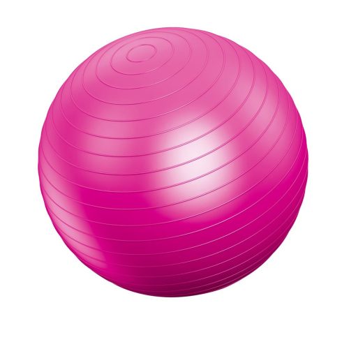  Vivamax gimnasztikai labda 55 cm (GYVGL55) 