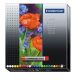  STAEDTLER "Karat" olajpasztell kréta 24 különböző szín  (2420 C24 / TS24020C24) 