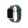  FIXED Set Apple Watch 42/44/45 mm szilikon szíj zöld-kék (FIXSST-434-GREBL) 