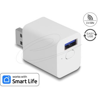 Delock WLAN EASY-USB switch Smart Life (11832)