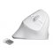Delock Ergonómikus, vezetéknélküli függoleges USB egér (12596)