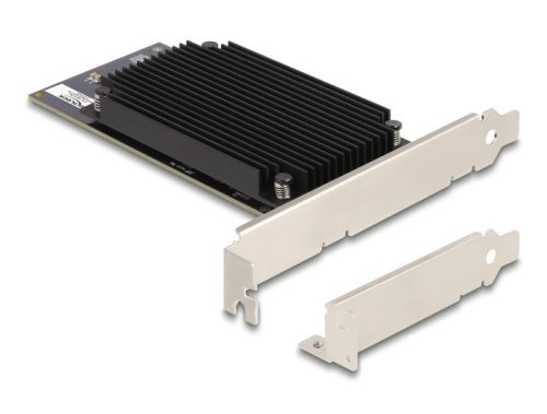 Delock PCI Express x8 Hailo-8  AI processzor x2 AI-Accelerator (31416)