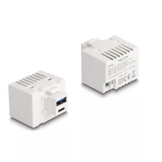   Delock Keystone Modul A-típusú USB-vel és USB Type-C  töltő porttal PD 20 W fehér (41478)