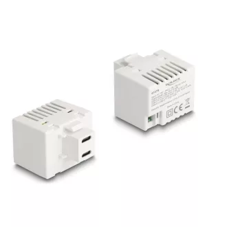   Delock Keystone Modul 2 x USB Type-C  töltő porttal PD 20 W fehér (41479)