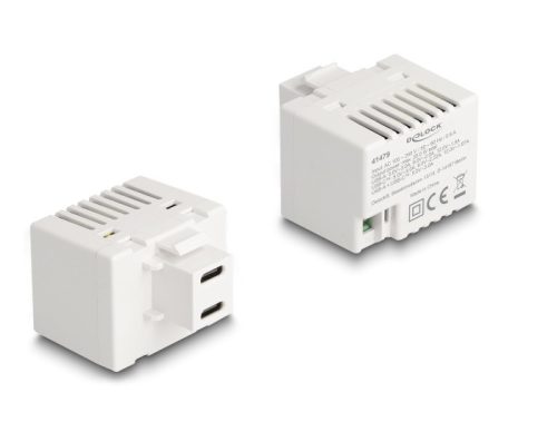 Delock Keystone Modul 2 x USB Type-C  töltő porttal PD 20 W fehér (41479)