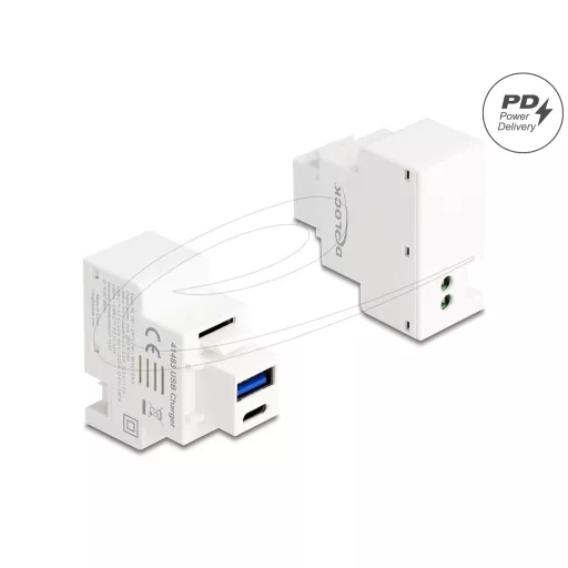 Delock Keystone Modul A-típusú USB-vel és USB Type-C  töltő porttal PD 20 W fehér (41483)