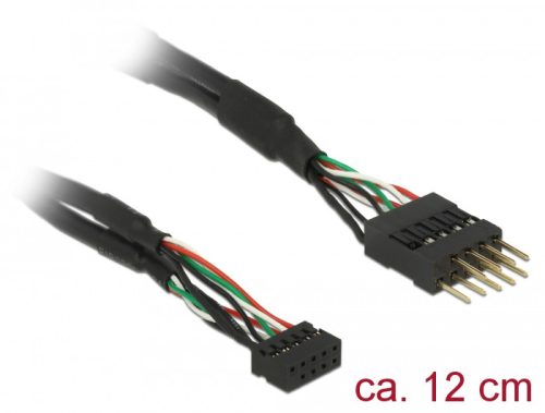 Delock Kábel USB 2.0-s csatlakozóhüvellyel, 2,00 mm, 10 tu > USB 2.0-s csatlakozódugó, 2,54 mm, 10 t (41977)