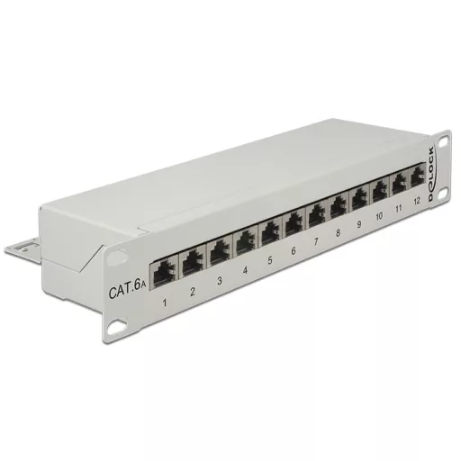 Delock 10  Patch Panel 12 Port Cat.6A szürke (43308)