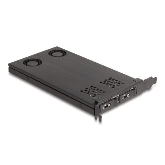   Delock PCI expressz x16 kártya mobil-rack 2 x M.2 NVMe SSD-hez - elágazás (47042)