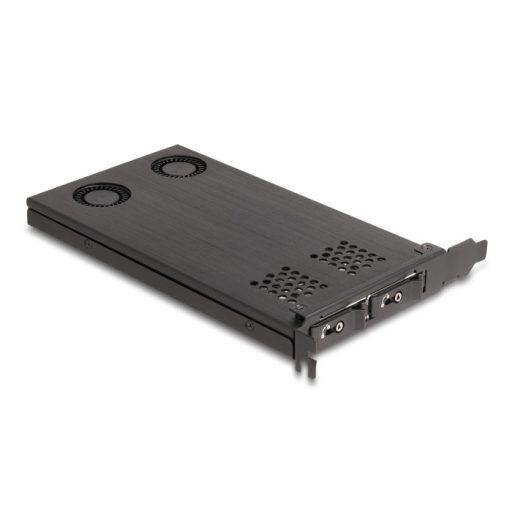 Delock PCI expressz x16 kártya mobil-rack 2 x M.2 NVMe SSD-hez - elágazás (47042)