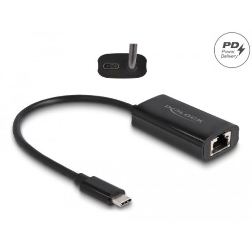 Delock Szürke USB Type-C  adapter tápellátó portos Gigabit LAN-hez 100 watt (61026)
