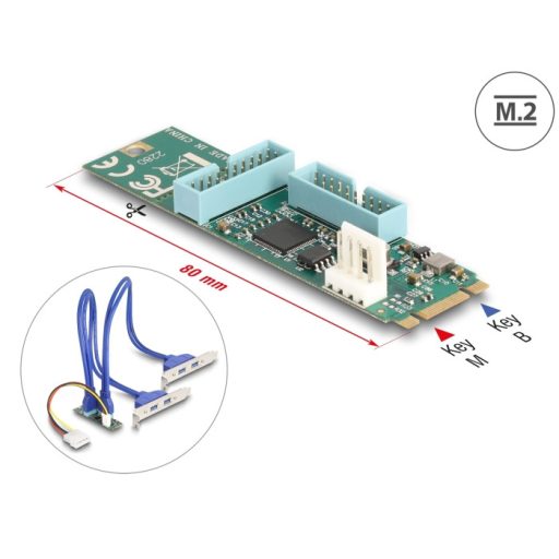 Delock Átalakító, M.2 aljzat B+M nyílással, csatlakozódugó - 4 x USB 5 Gbps A-típusú hüvely 50 cm hosszú kábellel (61066)
