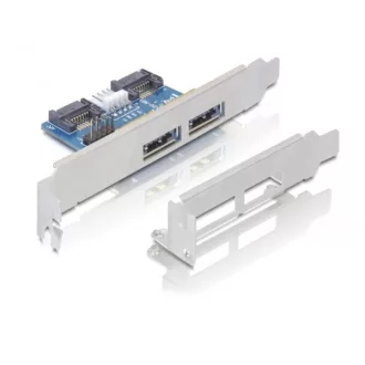 Delock Slot konzol 2x eSATAp 5V/12V (61725)