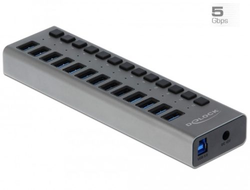 Delock Külső SuperSpeed USB hub 13 bemenettel és kapcsolóval (63738)