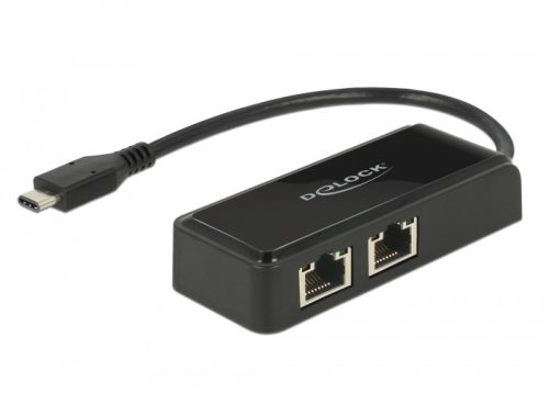Delock Adapter SuperSpeed USB (USB 3.1 Gen 1) USB Type-C  csatlakozódugóval > 2 x Gigabit LAN 10/100 (63927)