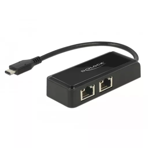 Delock Adapter SuperSpeed USB (USB 3.1 Gen 1) USB Type-C  csatlakozódugóval > 2 x Gigabit LAN 10/100 (63927)
