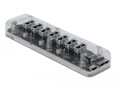 Delock Külso 3.0 USB hub 7 porttal, átlátszó (64088)