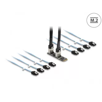   Delock Converter M.2 2280 kulcs B+M dugó 8 x SATA-hoz (64211)