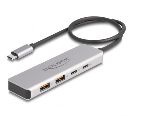 Delock USB 10 Gbps USB Type-C  hub 2 x A-típusú USB csatlakozóval és 2 x USB Type-C  csatlakozóval, valamint egy 35 cm hosszú csatlakozó kábellel (64230)