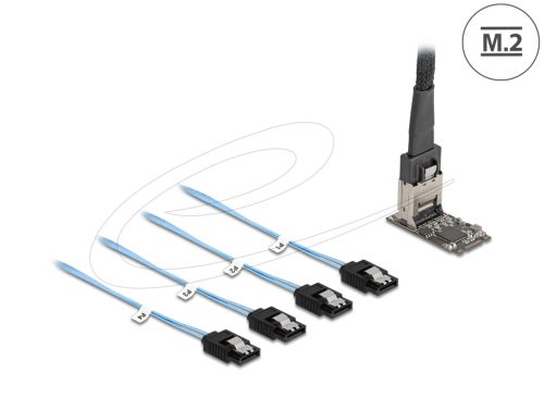 Delock Vezérlő M.2 2242 kulcs B+M apa - 4 x SATA 1 m hosszú kábellel