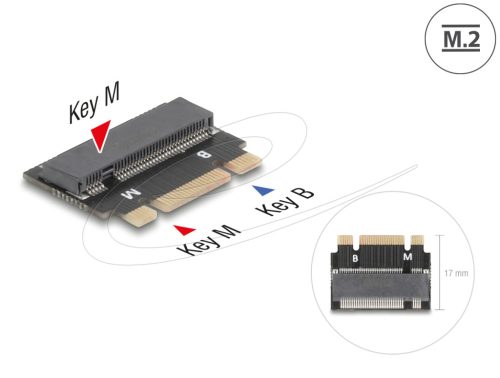 Delock M.2 kulcs B+M apa - M.2 kulcs M csatlakozó   bővítmény adapter