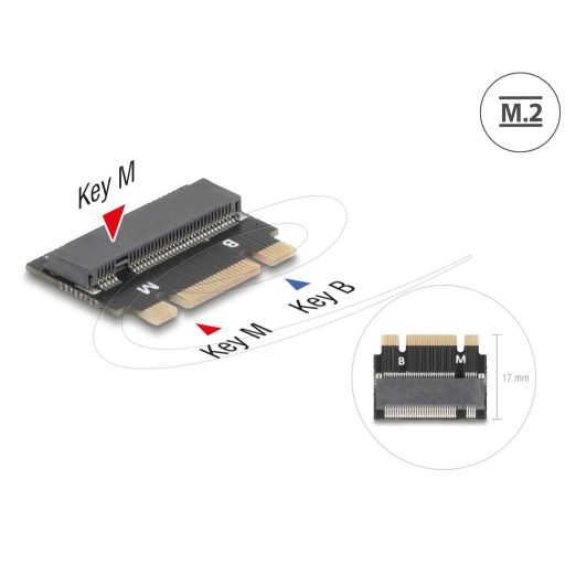 Delock M.2 kulcs B+M apa - M.2 kulcs M csatlakozó   bővítmény adapter (64342)