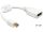 Delock mini Displayport adapter apa > Displayport anya (65427)