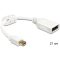 Delock mini Displayport adapter apa > Displayport anya (65427)