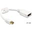 Delock mini Displayport adapter apa > Displayport anya (65427)
