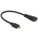 Delock kábel Gyors-sebességű HDMI Ethernettel Mini-C apa véggel > A anya