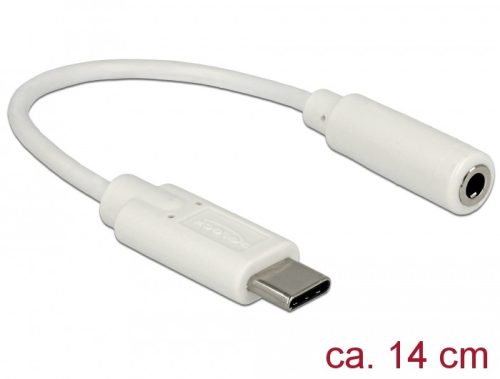 Delock Audio Adapter USB Type-C  bemeneti > Stereo Jack kimeneti 14 cm (65913)