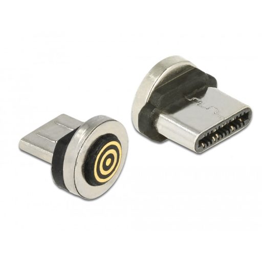 Delock USB Type-C  apa mágneses csatlakozó (65933)