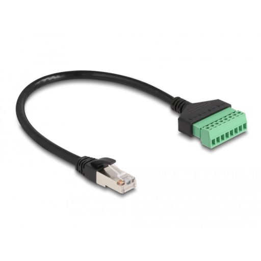 Delock RJ45 Kábel Cat.6 apa - Terminal Block Adapter 30 cm 2-rész (65975)