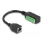 Delock RJ45 Kábel Cat.5e anya - Terminal Block Adapter 21,5 cm (66053)