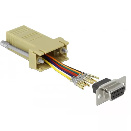 Delock Szürke Sub-D 9-tűs anya   RJ45 anya összekötő adapter (66164)