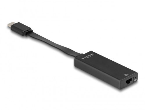 Delock USB Type-C  adapter   Gigabit LAN vékony