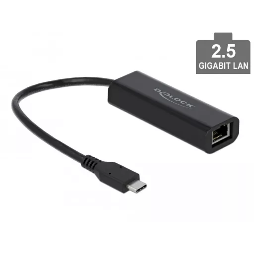 Delock USB Type-C adapter apa   2,5 Gigabit LAN (66298)