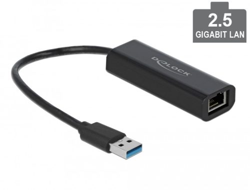 Delock USB Type-A adapter apa   2,5 Gigabit LAN (66299)