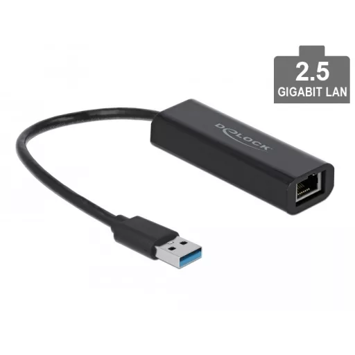 Delock USB Type-A adapter apa   2,5 Gigabit LAN (66299)