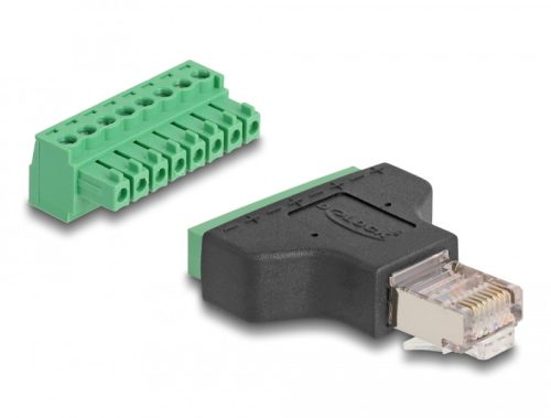 Delock Adapter RJ45 dugó > 8 tűs csatlakozóblokk, 2 rész 3,81 mm (66471)