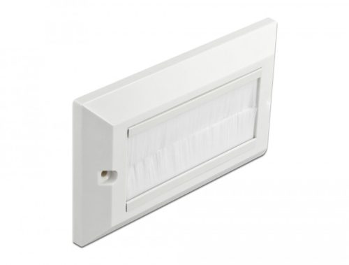 Delock Kábelrendező keret fehér fésűsávokkal 146 x 86 mm (66496)