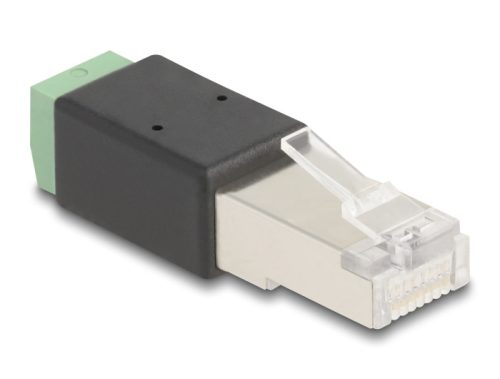 Delock RJ45 apa - Terminal Block Adapter 2 tűs (66604)