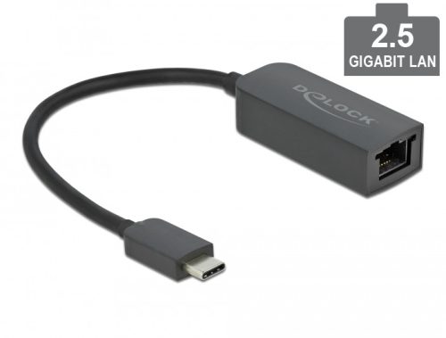 Delock USB Type-C adapter apa   2,5 Gigabit LAN kompakt