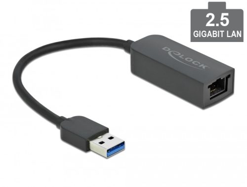 Delock USB A-típusú adapter apa   2,5 Gigabit LAN kompakt